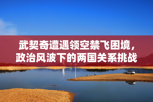 武契奇遭遇领空禁飞困境，政治风波下的两国关系挑战