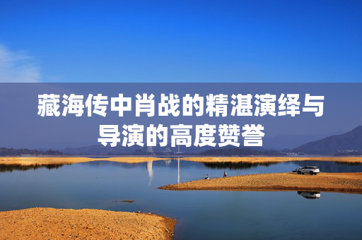 藏海传中肖战的精湛演绎与导演的高度赞誉