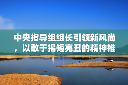 中央指导组组长引领新风尚，以敢于揭短亮丑的精神推动工作前行