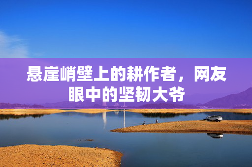 悬崖峭壁上的耕作者，网友眼中的坚韧大爷