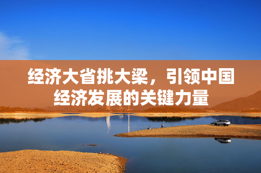 经济大省挑大梁，引领中国经济发展的关键力量