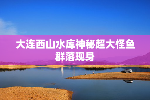 大连西山水库神秘超大怪鱼群落现身