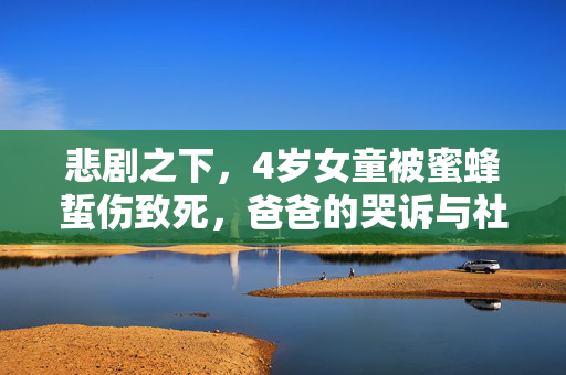 悲剧之下，4岁女童被蜜蜂蜇伤致死，爸爸的哭诉与社会的警醒