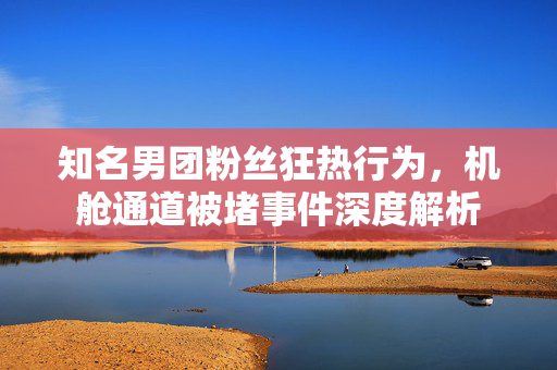 知名男团粉丝狂热行为，机舱通道被堵事件深度解析