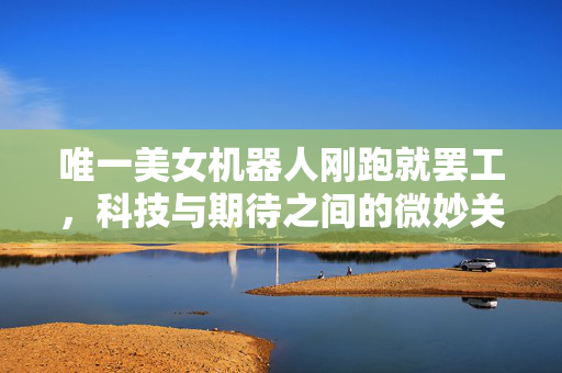 唯一美女机器人刚跑就罢工，科技与期待之间的微妙关系