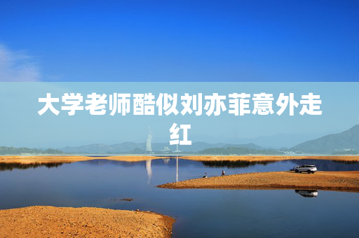大学老师酷似刘亦菲意外走红