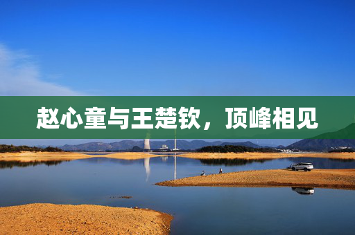 赵心童与王楚钦，顶峰相见