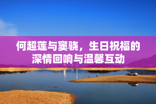 何超莲与窦骁，生日祝福的深情回响与温馨互动