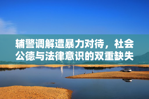 辅警调解遭暴力对待，社会公德与法律意识的双重缺失