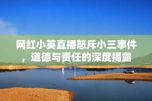 网红小英直播怒斥小三事件，道德与责任的深度揭露