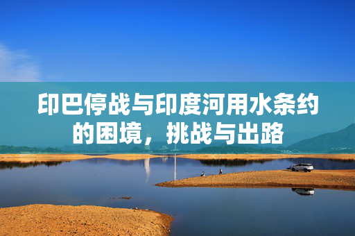 印巴停战与印度河用水条约的困境，挑战与出路