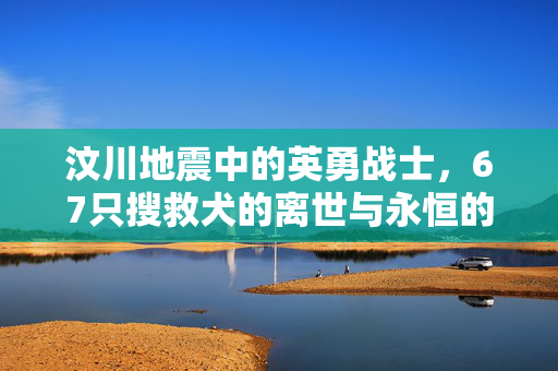 汶川地震中的英勇战士，67只搜救犬的离世与永恒的奉献