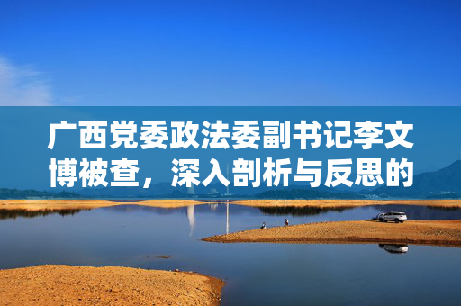 广西党委政法委副书记李文博被查，深入剖析与反思的契机