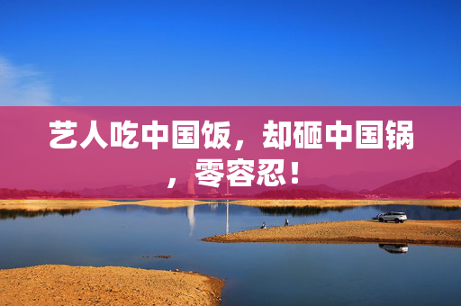 艺人吃中国饭，却砸中国锅，零容忍！