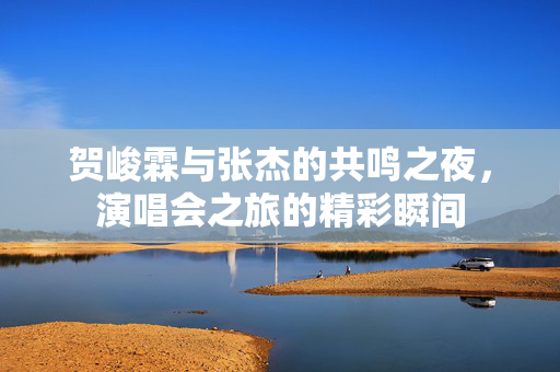 贺峻霖与张杰的共鸣之夜，演唱会之旅的精彩瞬间
