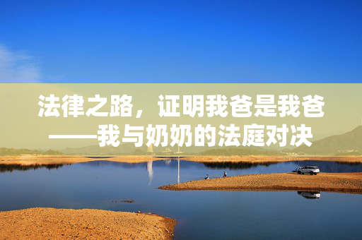 法律之路，证明我爸是我爸——我与奶奶的法庭对决