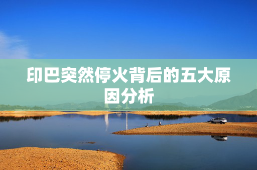 印巴突然停火背后的五大原因分析