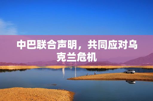 中巴联合声明，共同应对乌克兰危机