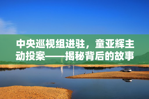 中央巡视组进驻，童亚辉主动投案——揭秘背后的故事