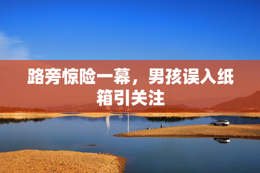路旁惊险一幕，男孩误入纸箱引关注