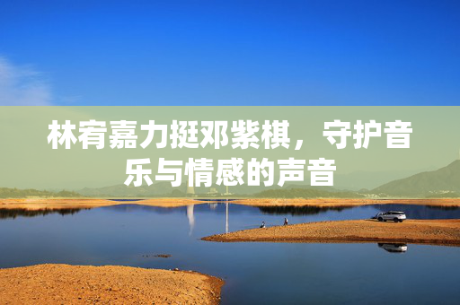 林宥嘉力挺邓紫棋，守护音乐与情感的声音