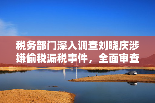 税务部门深入调查刘晓庆涉嫌偷税漏税事件，全面审查与追责的背后