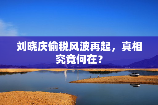 刘晓庆偷税风波再起，真相究竟何在？
