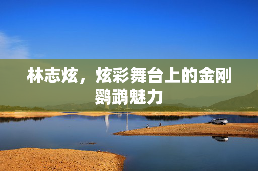 林志炫，炫彩舞台上的金刚鹦鹉魅力