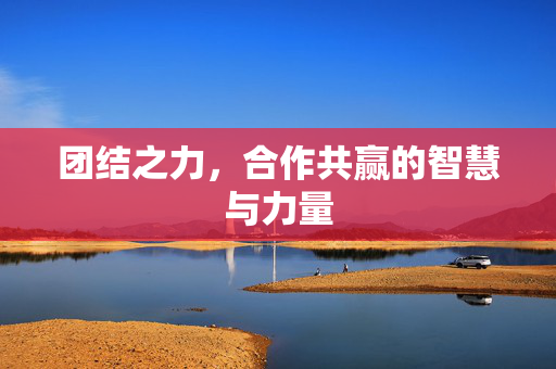 团结之力，合作共赢的智慧与力量