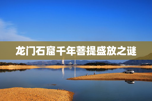 龙门石窟千年菩提盛放之谜