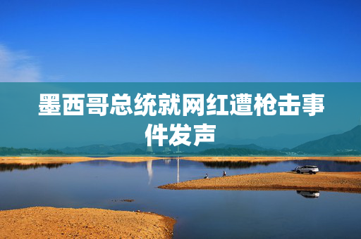 墨西哥总统就网红遭枪击事件发声
