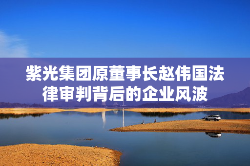 紫光集团原董事长赵伟国法律审判背后的企业风波