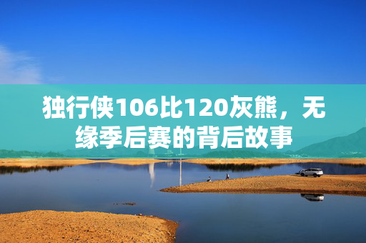 独行侠106比120灰熊，无缘季后赛的背后故事