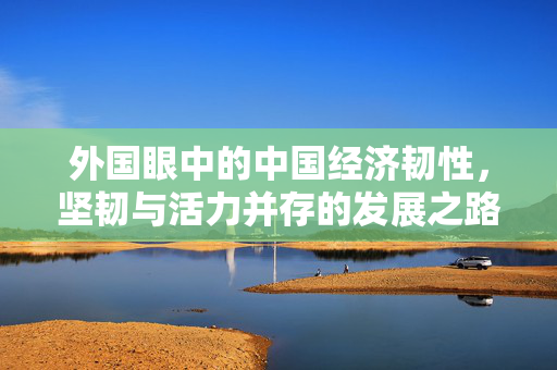 外国眼中的中国经济韧性，坚韧与活力并存的发展之路