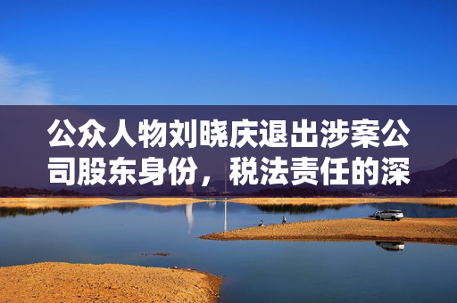 公众人物刘晓庆退出涉案公司股东身份，税法责任的深度解读