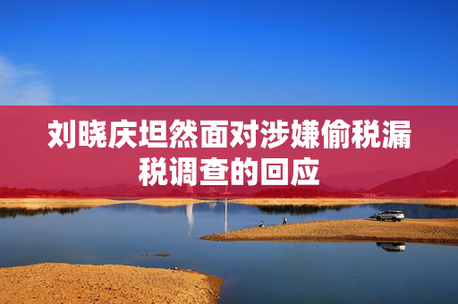 刘晓庆坦然面对涉嫌偷税漏税调查的回应