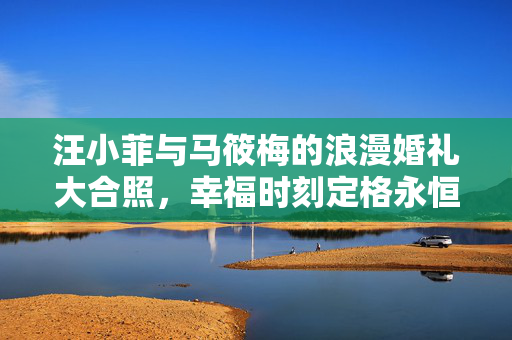 汪小菲与马筱梅的浪漫婚礼大合照，幸福时刻定格永恒