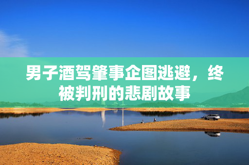 男子酒驾肇事企图逃避，终被判刑的悲剧故事