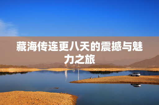 藏海传连更八天的震撼与魅力之旅