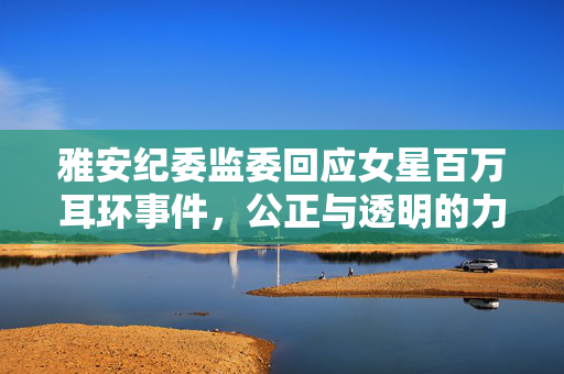 雅安纪委监委回应女星百万耳环事件，公正与透明的力量