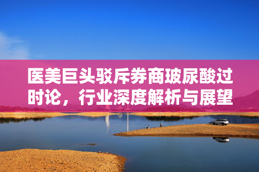 医美巨头驳斥券商玻尿酸过时论，行业深度解析与展望