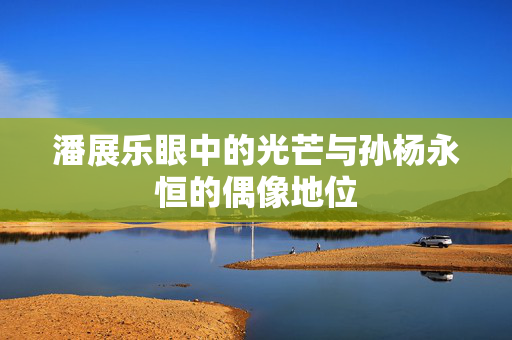 潘展乐眼中的光芒与孙杨永恒的偶像地位
