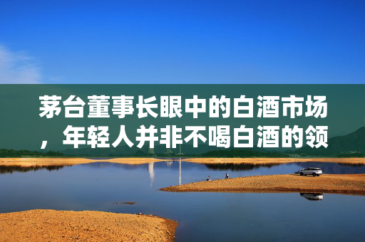 茅台董事长眼中的白酒市场，年轻人并非不喝白酒的领域