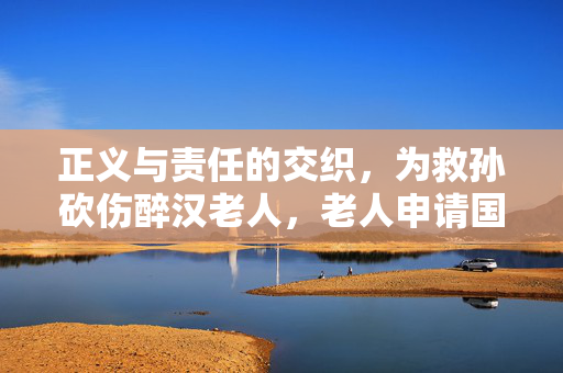 正义与责任的交织，为救孙砍伤醉汉老人，老人申请国赔128万事件剖析