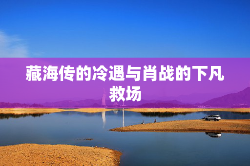 藏海传的冷遇与肖战的下凡救场