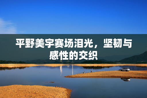 平野美宇赛场泪光，坚韧与感性的交织