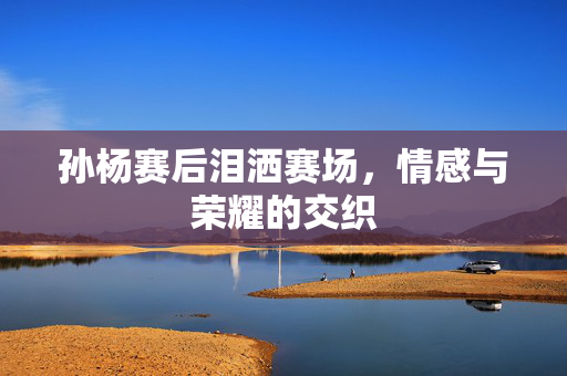 孙杨赛后泪洒赛场，情感与荣耀的交织