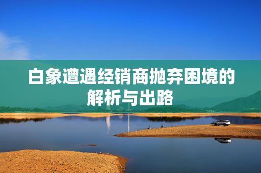 白象遭遇经销商抛弃困境的解析与出路