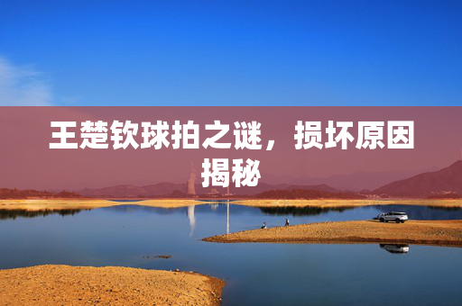 王楚钦球拍之谜，损坏原因揭秘