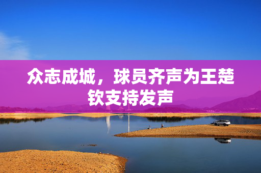 众志成城，球员齐声为王楚钦支持发声